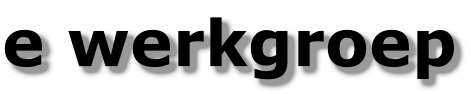 e werkgroep